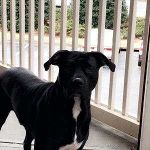 Meet your Posher, Felipe